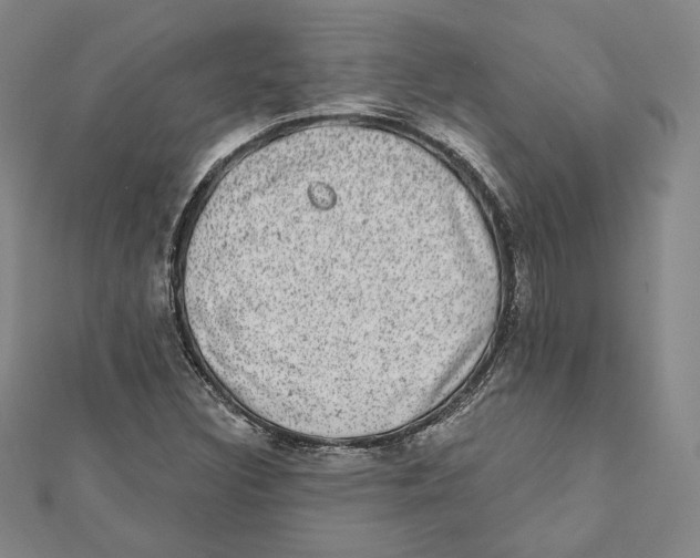 X0000111871308200908201208