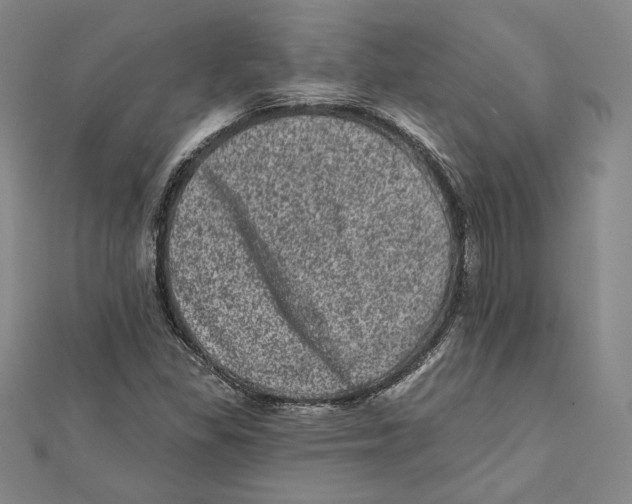 X0000111871309200908201208