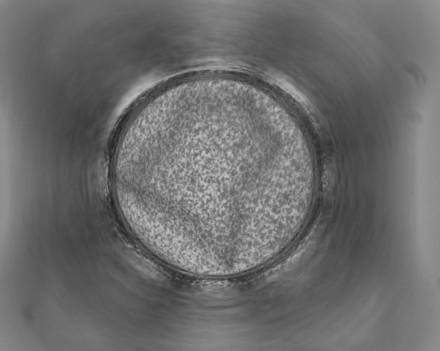 X0000111871310200908201208