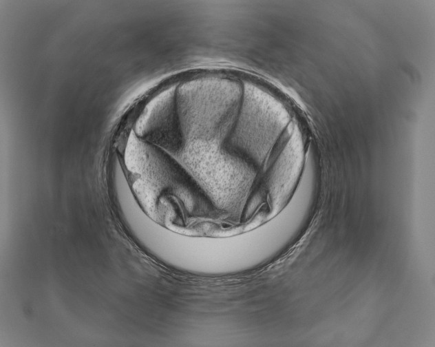 X0000111871311200908201208