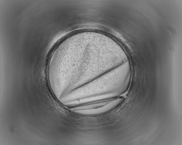 X0000111871312200908201208