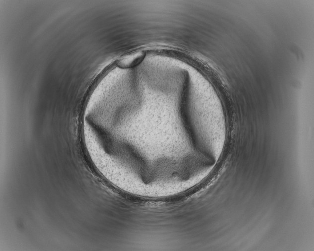 X0000111871313200908201208