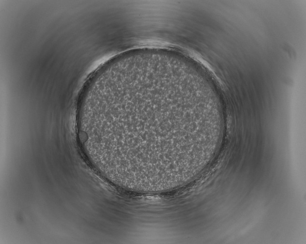 X0000111871315200908201208