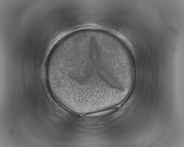 X0000111871318200908201208