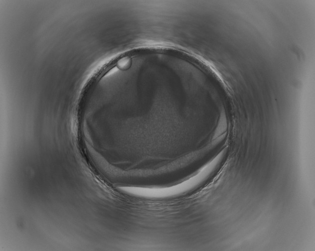 X0000111871319200908201208