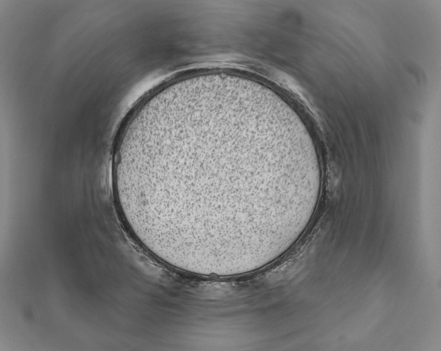 X0000111871320200908201208