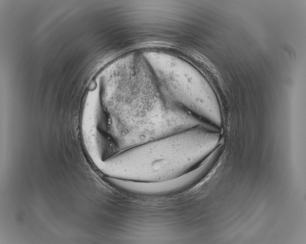 X0000111871321200908201208