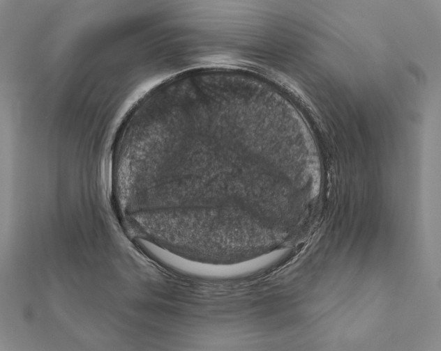 X0000111871323200908201208