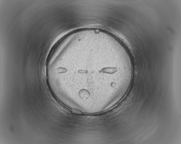 X0000111871324200908201208