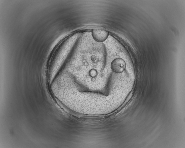 X0000111871325200908201208