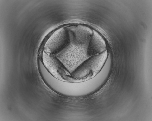 X0000111871326200908201208