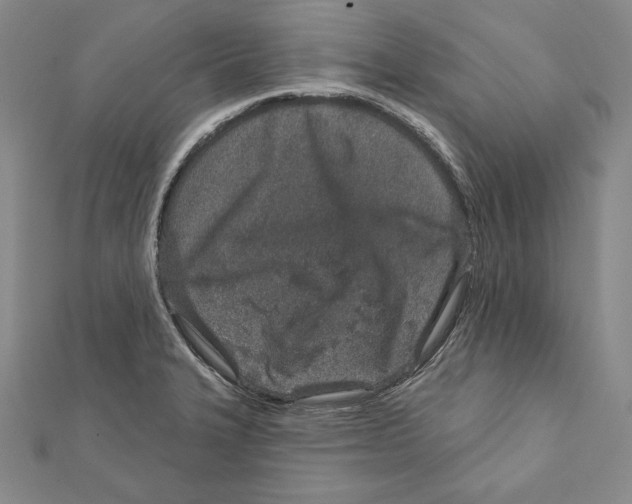 X0000111871327200908201208