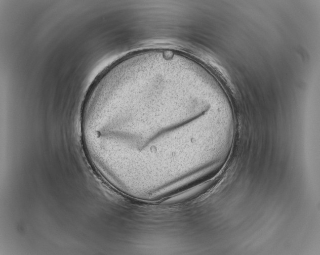 X0000111871328200908201208