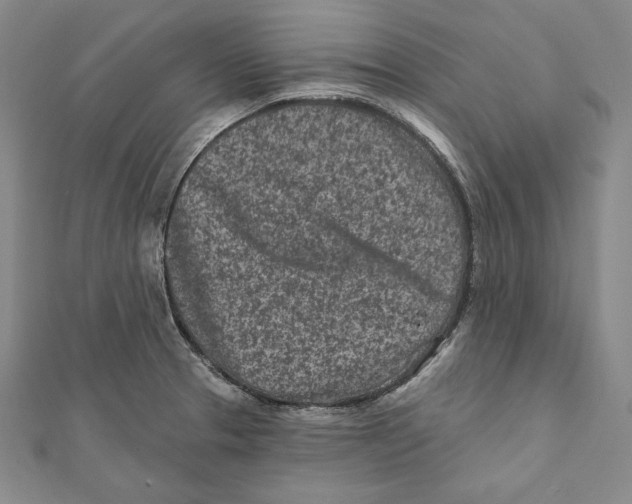 X0000111871329200908201208