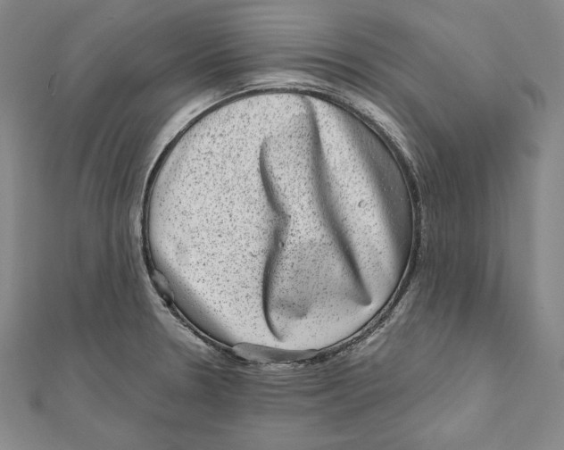 X0000111871330200908201208