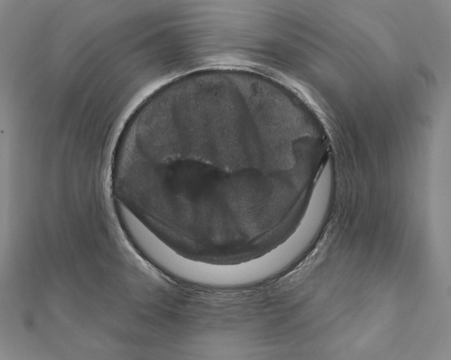 X0000111871331200908201208