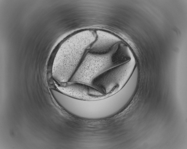 X0000111871332200908201208