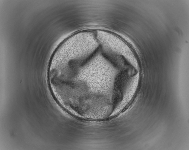 X0000111871333200908201208