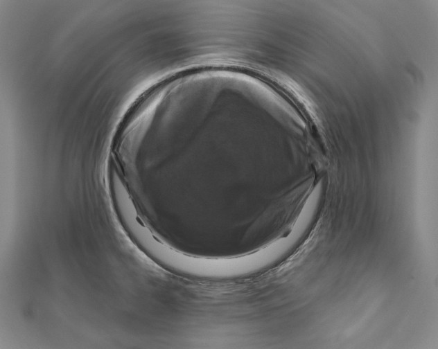 X0000111871334200908201208