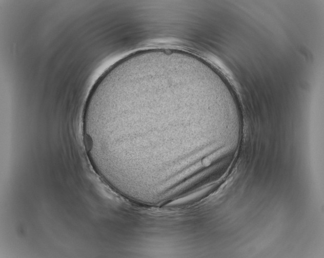 X0000111871336200908201208