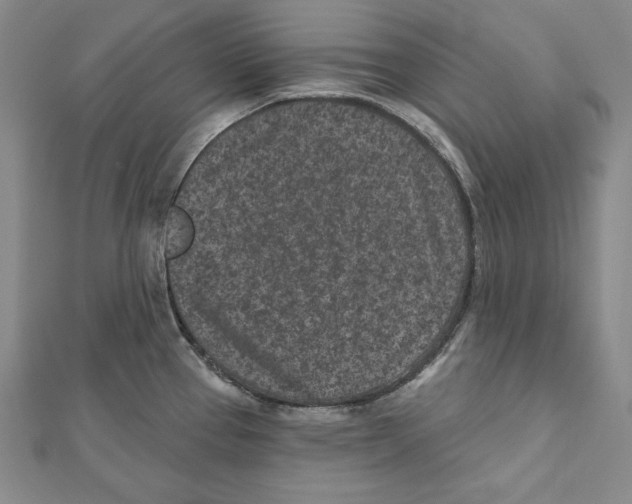 X0000111871337200908201208