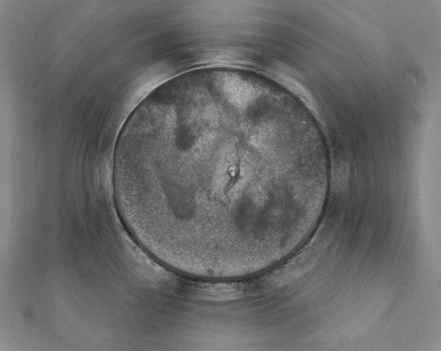 X0000111871338200908201208