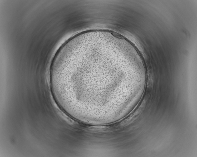 X0000111871342200908201208