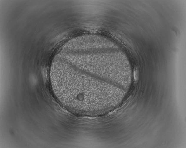 X0000111871347200908201208