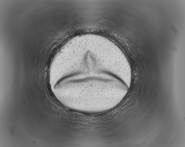 X0000111871349200908201208