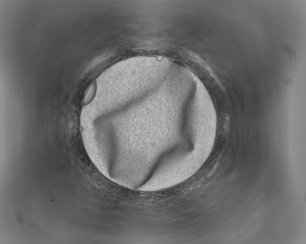 X0000111871350200908201208