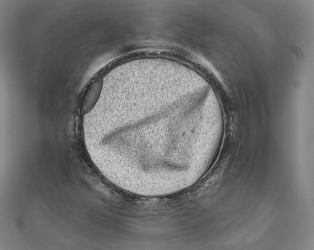 X0000111871352200908201208