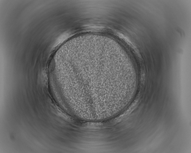 X0000111871354200908201208