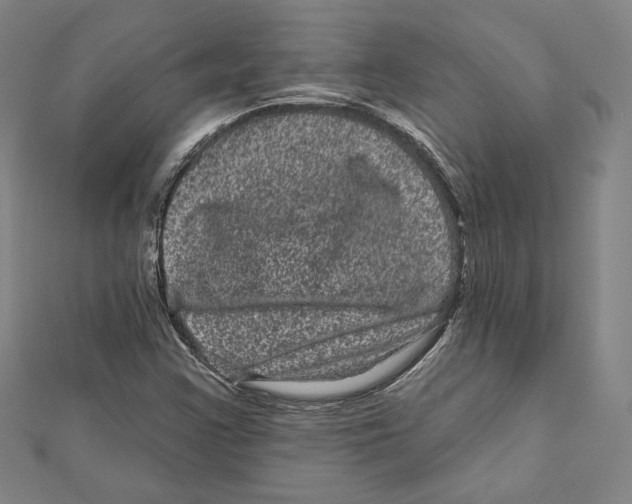 X0000111871355200908201208