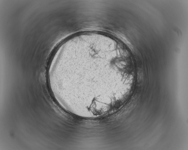 X0000111871356200908201208