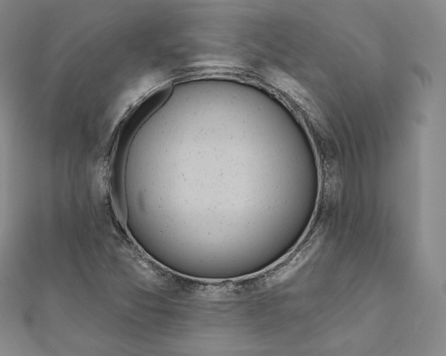 X0000111871357200908201208