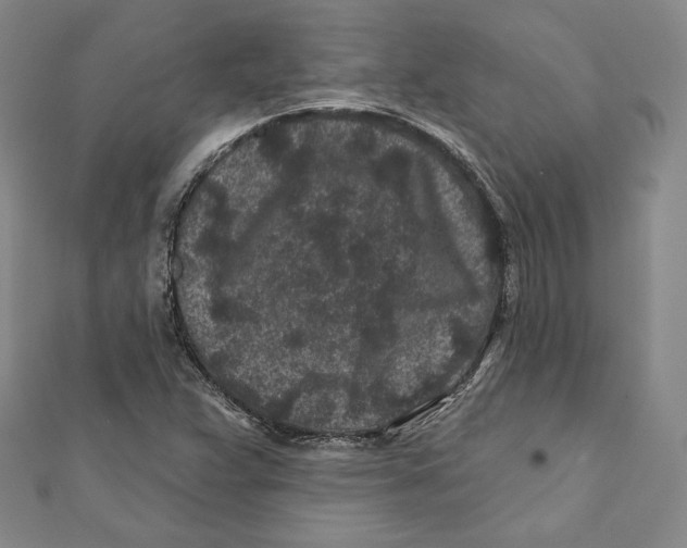 X0000111871359200908201208