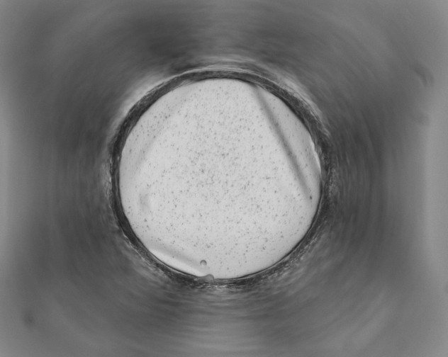 X0000111871360200908201208