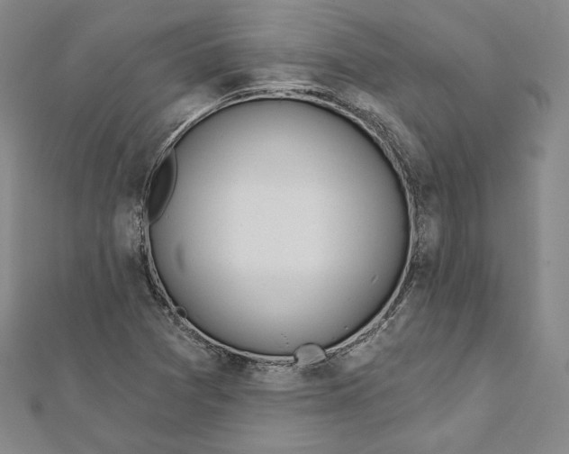 X0000111871361200908201208