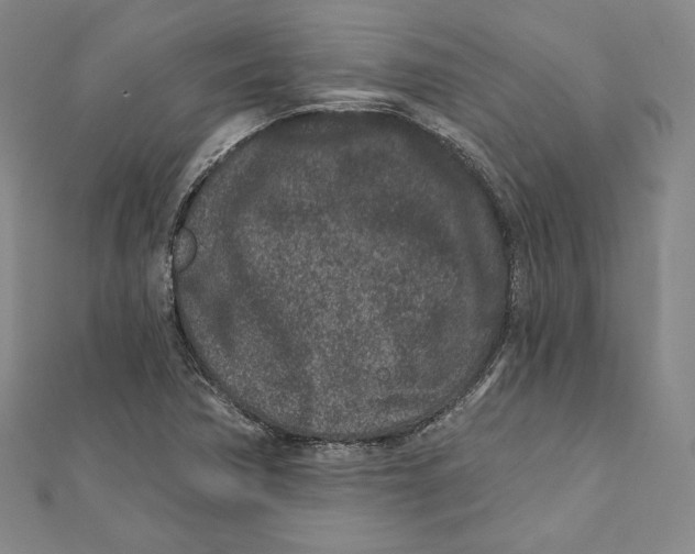 X0000111871362200908201208