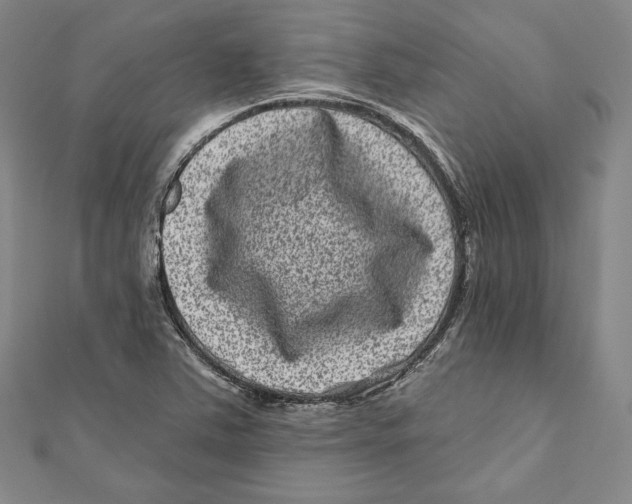 X0000111871363200908201208