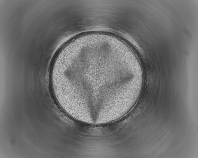 X0000111871364200908201207