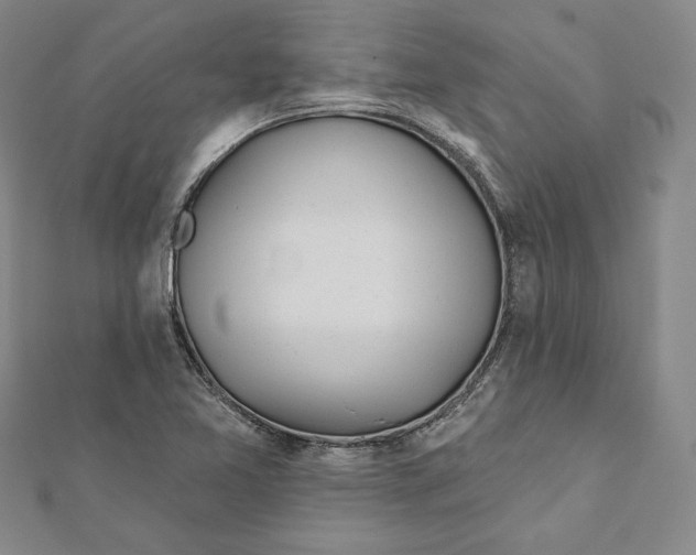 X0000111871365200908201207