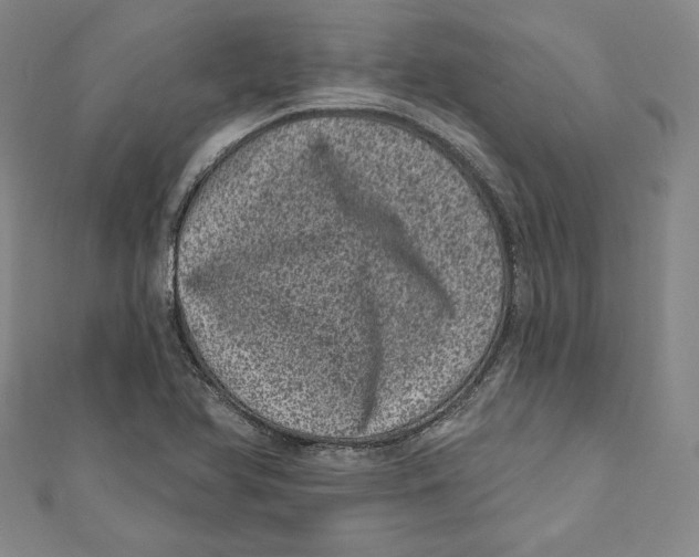 X0000111871366200908201207