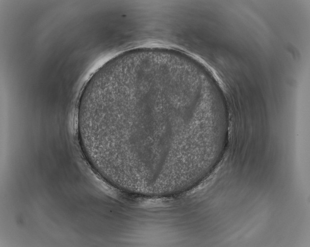 X0000111871367200908201207