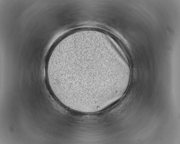 X0000111871368200908201207