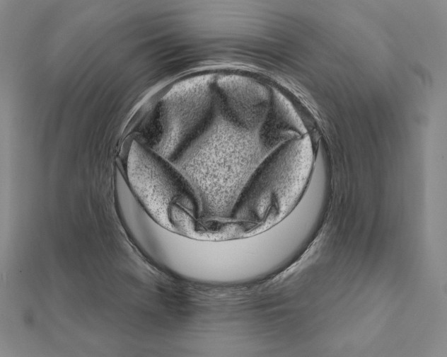 X0000111871369200908201207