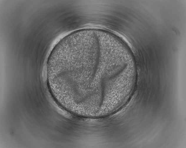 X0000111871371200908201207