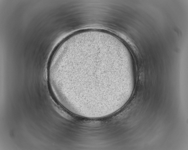 X0000111871372200908201207