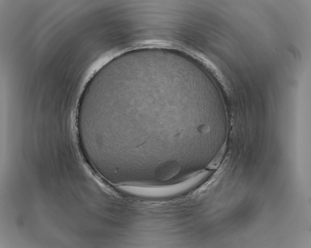 X0000111871373200908201207