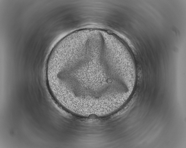 X0000111871375200908201207